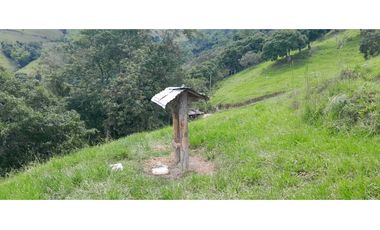 VENTA DE FINCA SANTA BARBARA, SUROESTE ANTIOQUEÑO