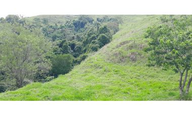 VENTA DE FINCA SANTA BARBARA, SUROESTE ANTIOQUEÑO