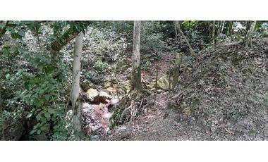 VENTA DE FINCA SANTA BARBARA, SUROESTE ANTIOQUEÑO