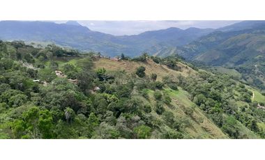 VENTA DE FINCA SANTA BARBARA, SUROESTE ANTIOQUEÑO