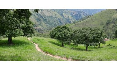VENTA DE FINCA SANTA BARBARA, SUROESTE ANTIOQUEÑO