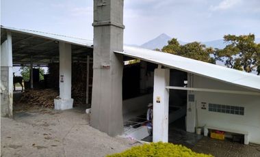 VENTA FINCA SANTA BARBARA, SUROESTE ANTIOQUEÑO