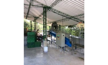VENTA FINCA, VALPARAISO - SUROESTE ANTIOQUEÑO