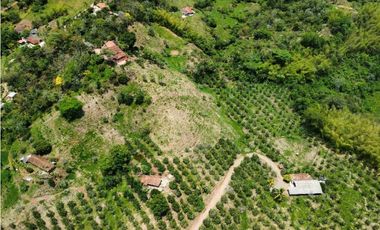 VENTA FINCA, VALPARAISO - SUROESTE ANTIOQUEÑO