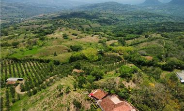 VENTA FINCA, VALPARAISO - SUROESTE ANTIOQUEÑO