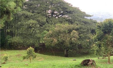 VENTA FINCA, VALPARAISO - SUROESTE ANTIOQUEÑO