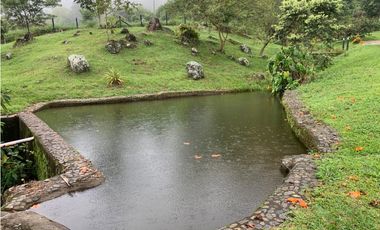 VENTA FINCA, VALPARAISO - SUROESTE ANTIOQUEÑO
