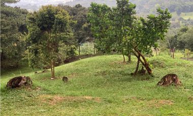 VENTA FINCA, VALPARAISO - SUROESTE ANTIOQUEÑO