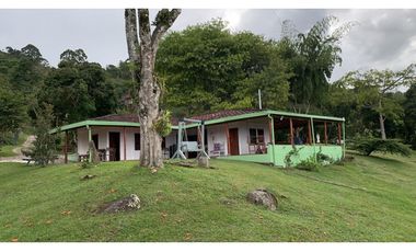 VENTA FINCA, VALPARAISO - SUROESTE ANTIOQUEÑO
