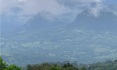 VENTA FINCA, VALPARAISO - SUROESTE ANTIOQUEÑO