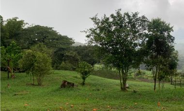 VENTA FINCA, VALPARAISO - SUROESTE ANTIOQUEÑO