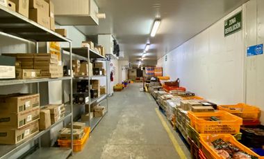 Oficinas y bodegas comerciales en importante avenida