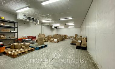 Oficinas y bodegas comerciales en importante avenida