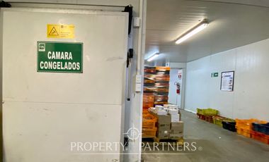 Oficinas y bodegas comerciales en importante avenida