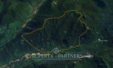 CAMPO PRECORDILLERANO BORDE RÍO