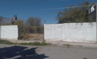 TERRENO EN RENTA EN NUEVA LAGUNA SUR TORREÓN, COAHUILA