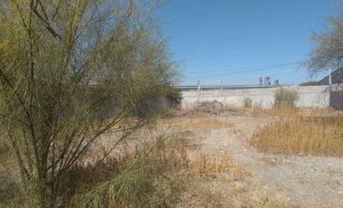 TERRENO EN RENTA EN NUEVA LAGUNA SUR TORREÓN, COAHUILA