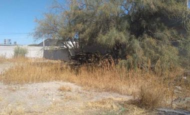 TERRENO EN RENTA EN NUEVA LAGUNA SUR TORREÓN, COAHUILA