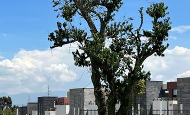 SE RENTA CASA EN VILLAS DEL CAMPO