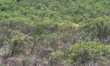 TERRENO EN VENTA CORDILLERA RESIDENCIAL L2