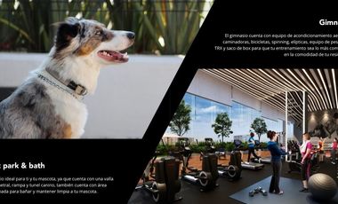 Renta departamento  THE OAKS Bosque Real