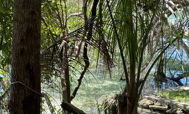 SE VENDE TERRENO EN LA LAGUNA DE BACALAR CIUDAD