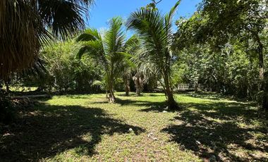 SE VENDE TERRENO EN LA LAGUNA DE BACALAR CIUDAD