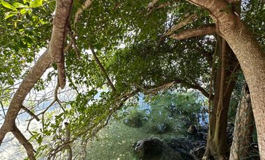SE VENDE TERRENO EN LA LAGUNA DE BACALAR CIUDAD
