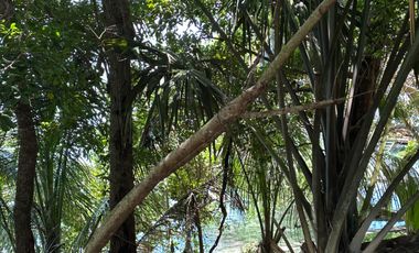 SE VENDE TERRENO EN LA LAGUNA DE BACALAR CIUDAD