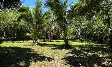 SE VENDE TERRENO EN LA LAGUNA DE BACALAR CIUDAD