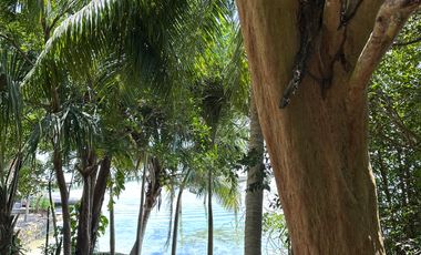 SE VENDE TERRENO EN LA LAGUNA DE BACALAR CIUDAD