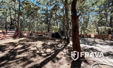 VENTA DE CASA PINARES TAPALPA