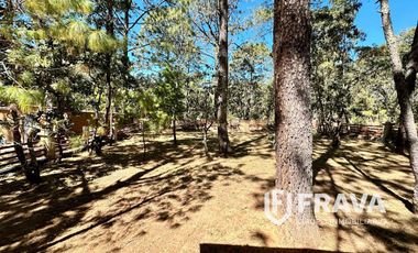 VENTA DE CASA PINARES TAPALPA