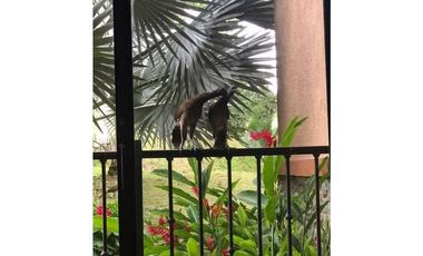 EMBASSY CLUB. GARDEN CON JARDIN . AMOBLADO
