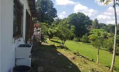 vendo o alquilo una finca en cermeño de Capira