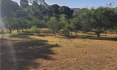 vendo o alquilo una finca en cermeño de Capira