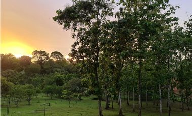 vendo o alquilo una finca en cermeño de Capira