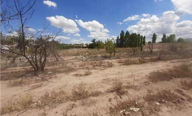 RealtyPlus Vende Gran Terreno en Venta - Azcuénaga - Gllen - Mendoza