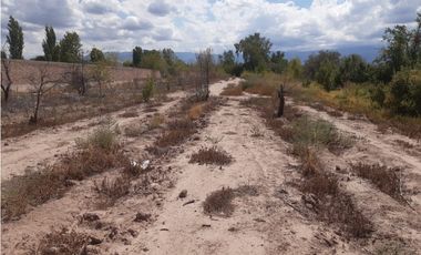 RealtyPlus Vende Gran Terreno en Venta - Azcuénaga - Gllen - Mendoza
