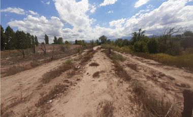 RealtyPlus Vende Gran Terreno en Venta - Azcuénaga - Gllen - Mendoza