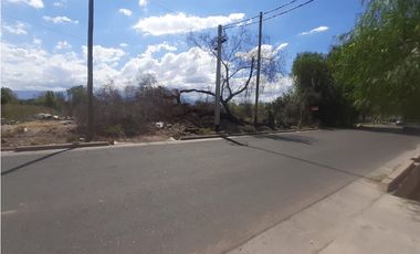 RealtyPlus Vende Gran Terreno en Venta - Azcuénaga - Gllen - Mendoza