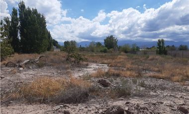 RealtyPlus Vende Gran Terreno en Venta - Azcuénaga - Gllen - Mendoza