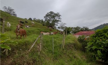 VENTA DE FINCA GANADERA