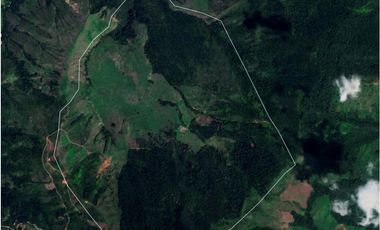 Vendo Finca de 550 cuadras en Betulia productiva y ganadera