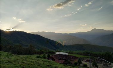 Vendo Finca de 550 cuadras en Betulia productiva y ganadera
