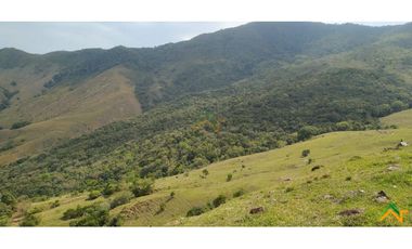 Vendo Finca de 550 cuadras en Betulia productiva y ganadera