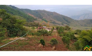 Vendo Finca de 550 cuadras en Betulia productiva y ganadera