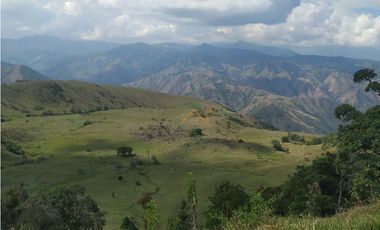Vendo Finca de 550 cuadras en Betulia productiva y ganadera