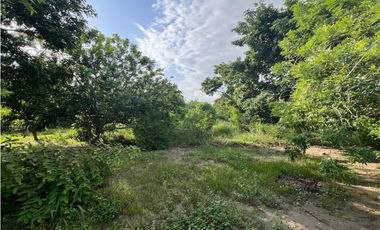 ¡Oportunidad! Lote comercial con casa en Vista Hermosa -G-40