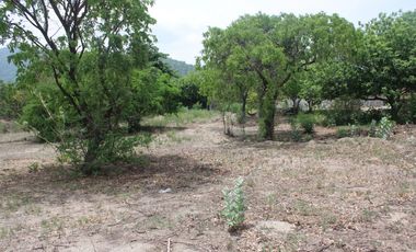 ¡Oportunidad! Lote comercial con casa en Vista Hermosa -G-40